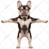 create an adobe character animator puppet rig