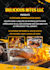 do any kind of flyer summer, beach, winter travel, picnic, latin, cruise flyer