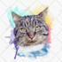do a custom pet portrait, dog portrait, cat portrait