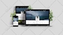 do professional wordpress website design and development