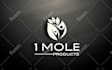 design a professional modern business logo