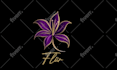 design a professional business logo or redesign your brand identity