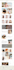 shopify store design shopify store redesign shopify website design shopify store