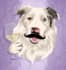 create a stunning cartoon vector portrait of your beloved pet