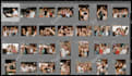cull and editing wedding or event photo in lightroom