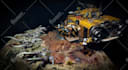 paint your warhammer 40k miniatures