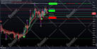 create any script in tradingview pinescript on your requests