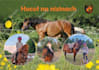 design professional pet, dog and animal flyers or postcards