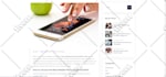 create responsive wordpress website design and development for your business