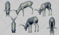 do 3d animal model animal model 3d design 3d animation texturing 3d rigging