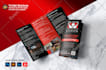 design a professional bifold or trifold brochure