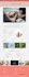 convert figma to wordpress figma to elementor and xd, ai, PSD to wordpress