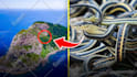 design the best youtube thumbnails design