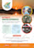 design premium editable canva brochure, flyer or catalog