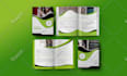 design a professional brochure, company profile, or annual report