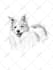draw scribble sketches for cat dog or other pet