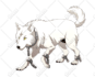draw custom creature or monster character for you