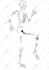 create custom medical or scientific illustration