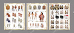 do a professional product catalog design and sales sheet design