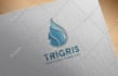 create a professional company logo design