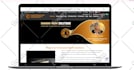 build clean and responsive seo optimized wordpress website