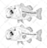 black white vector illustration