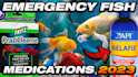 design amazing clickbait animal thumbnail