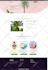 create wordpress paid subscription system website