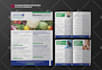 design professional brochures for print and digital