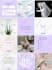 create content and manage your instagram