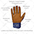 professional graphic designer products image