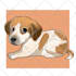 draw cute chibi cartoon portraits of your pet
