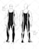 create custom figure line drawings tailored to your project