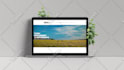 do professional wordpress website design and development