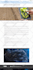 develop wordpress woocommerce website or business website