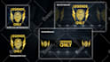 design custom logo and banner for discord and fivem