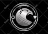 design an eagle, falcon, owl, animal logo and bird illustration high quality