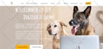 design or redesign responsive SEO friendly website