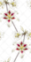 design pattern for fabric, jacquard, print