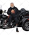 convert your logo to vector, vector tracing, image,