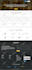 design develop high performance wordpress elementor website or landing page