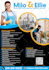 design cleaning services, washing and care flyer