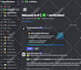 create a professional, eyecatchy, secure, community discord server