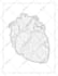 make custom adult coloring book page for KDP