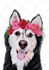 paint adorable watercolor pet portrait