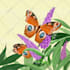 create an exotic animal or pet illustration for you