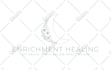design custom hand drawn or floral logo