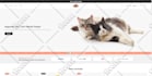 do shopify customization and custom coding any kind of theme