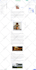 design editable mailchimp newsletter template