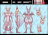 draw your reference sheet furry or anime